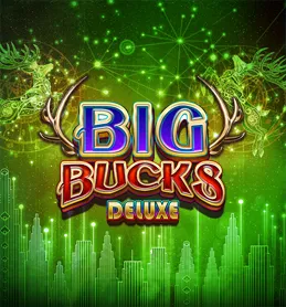 tuuri casino big bucks hotloot